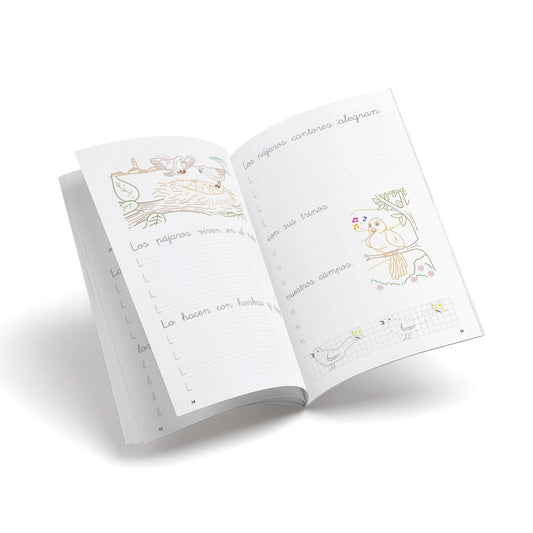 Castillo escritura 12