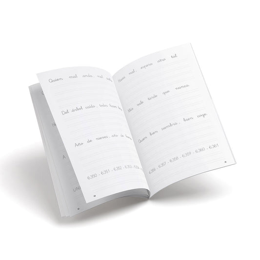 Castillo escritura 17