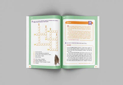 Quadern comprensió i velocitat lectora valencià - 4t primària - Lecto Eixida 4