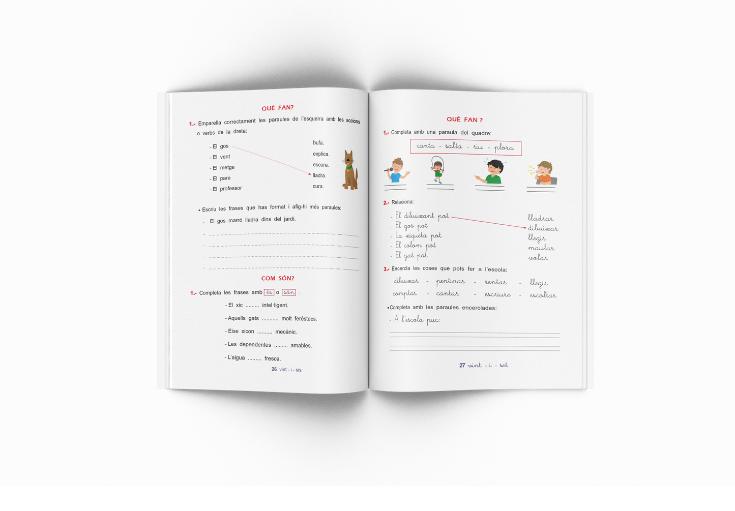 Quadern de Llengua – Pas Llengua Segon – Primària