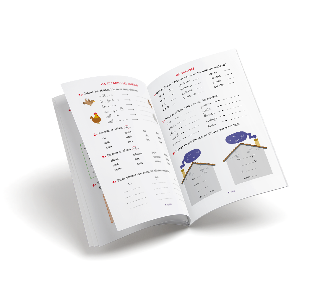 Quadern de Llengua – Pas Llengua Segon – Primària