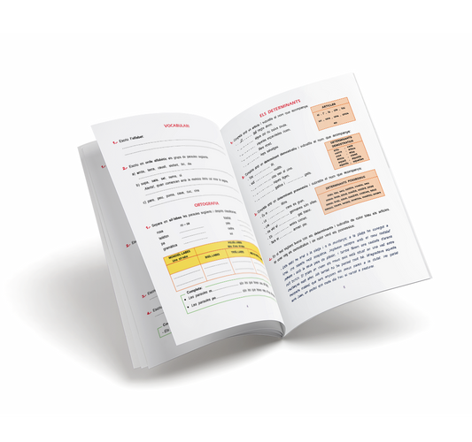 Quadern de Llengua – Pas Llengua Cinqué – Primària