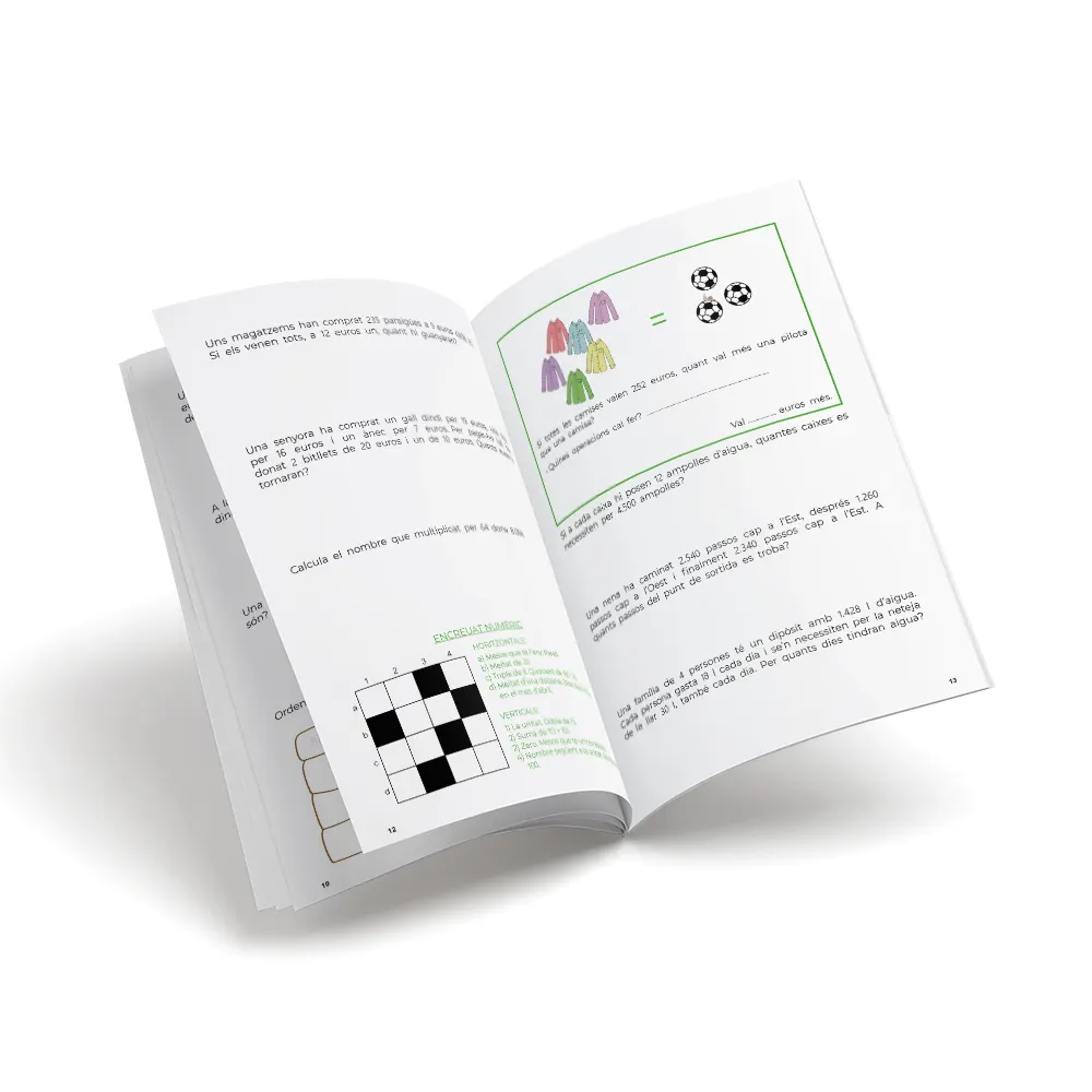 Quadern de matemàtiques - Nou set Problemes 19 Sumes i restes. Multiplicacions i divisions per més d'una xifra - primària