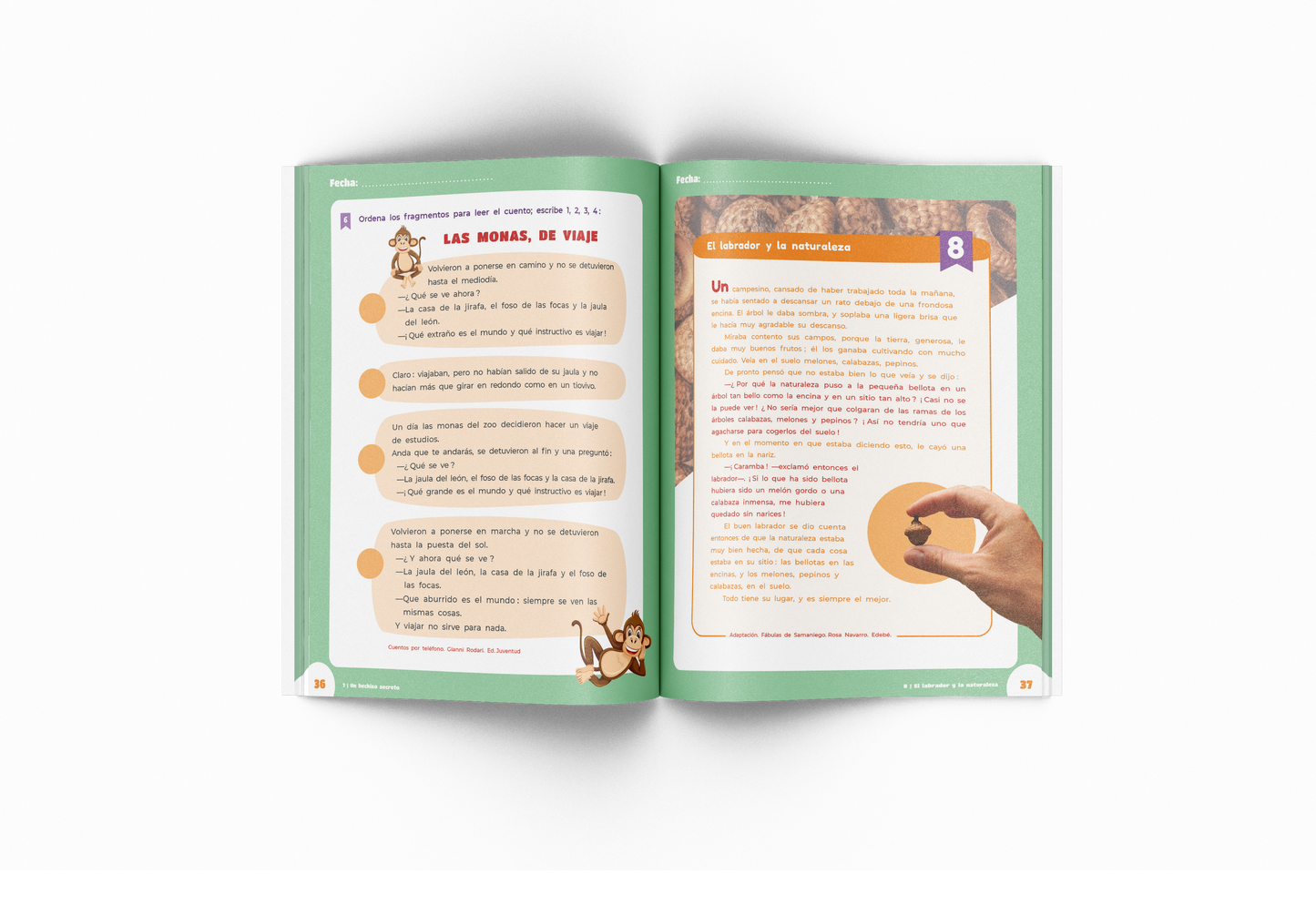 Lecto ágil 4  - Quadern comprensió i velocitat lectora - 4t de primària