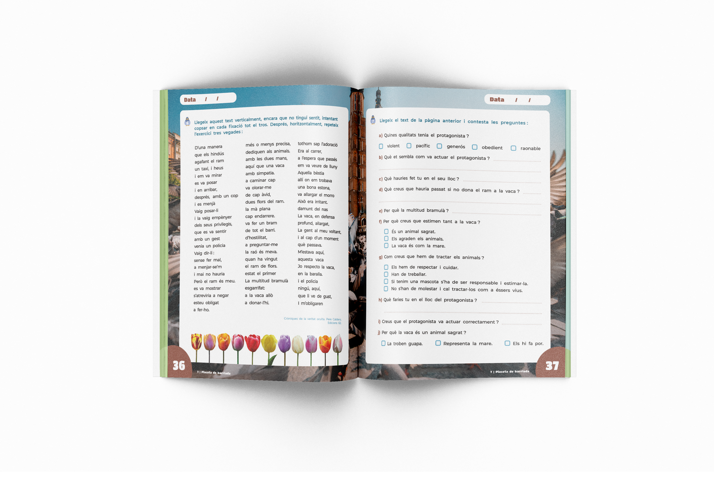 Lecto Splash 6 - Quadern velocitat i comprensió lectora - 6è de primària